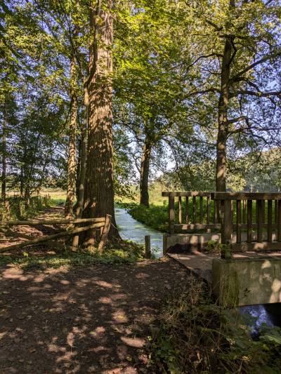 Die klarsten Gedanken fasse ich beim Spazieren im Grnen